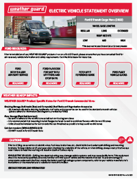 wg-ford-etransit-cargo-van-statement